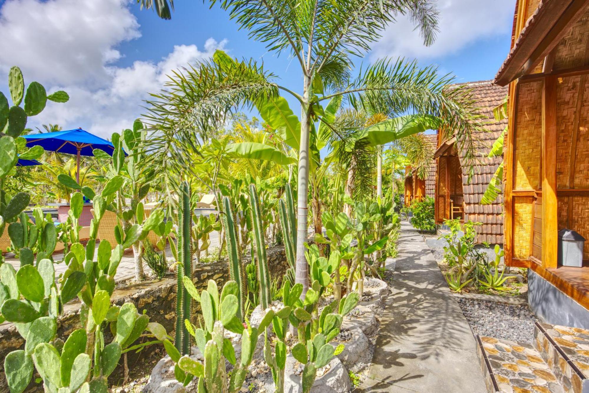 Kira Cottages Sakti Εξωτερικό φωτογραφία